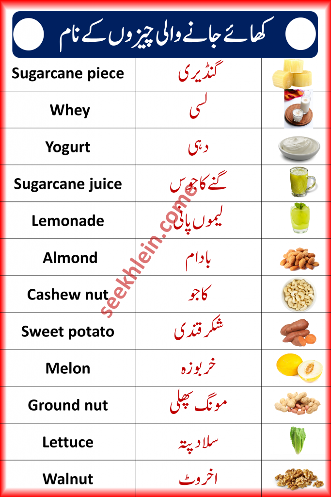 Food Vocabulary Words