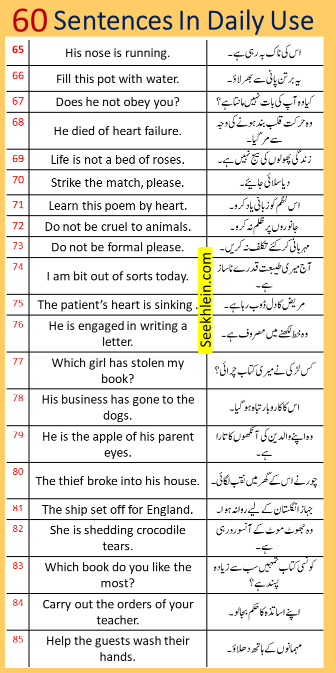 60 sentences in daily use