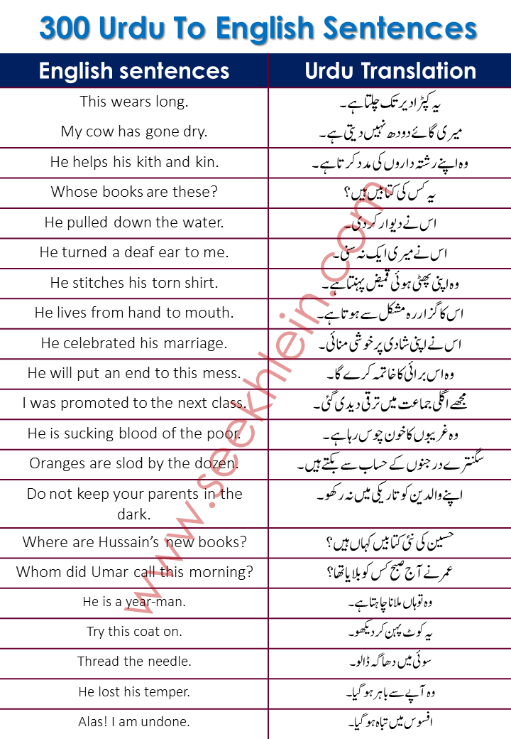 Important Daily Use Sentences