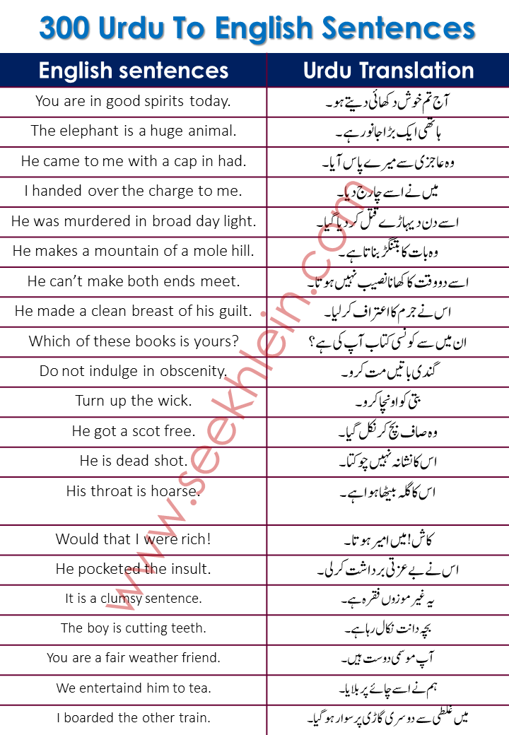 Sentences For Daily Use