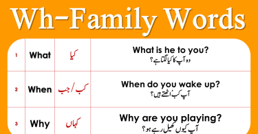 All Wh Family With Examles