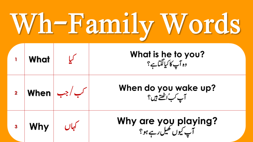 All Wh Family With Examles