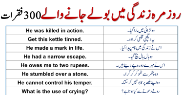 300 Sentences For Daily Use