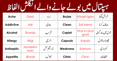 Medical Vocabulary With Urdu Hindi