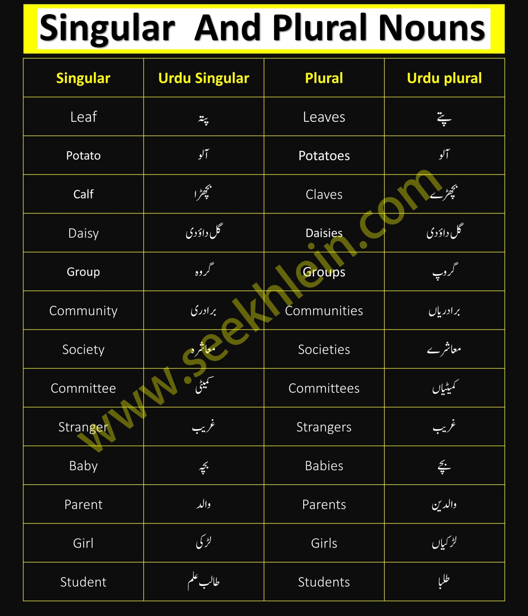 Singular And Plural Nouns