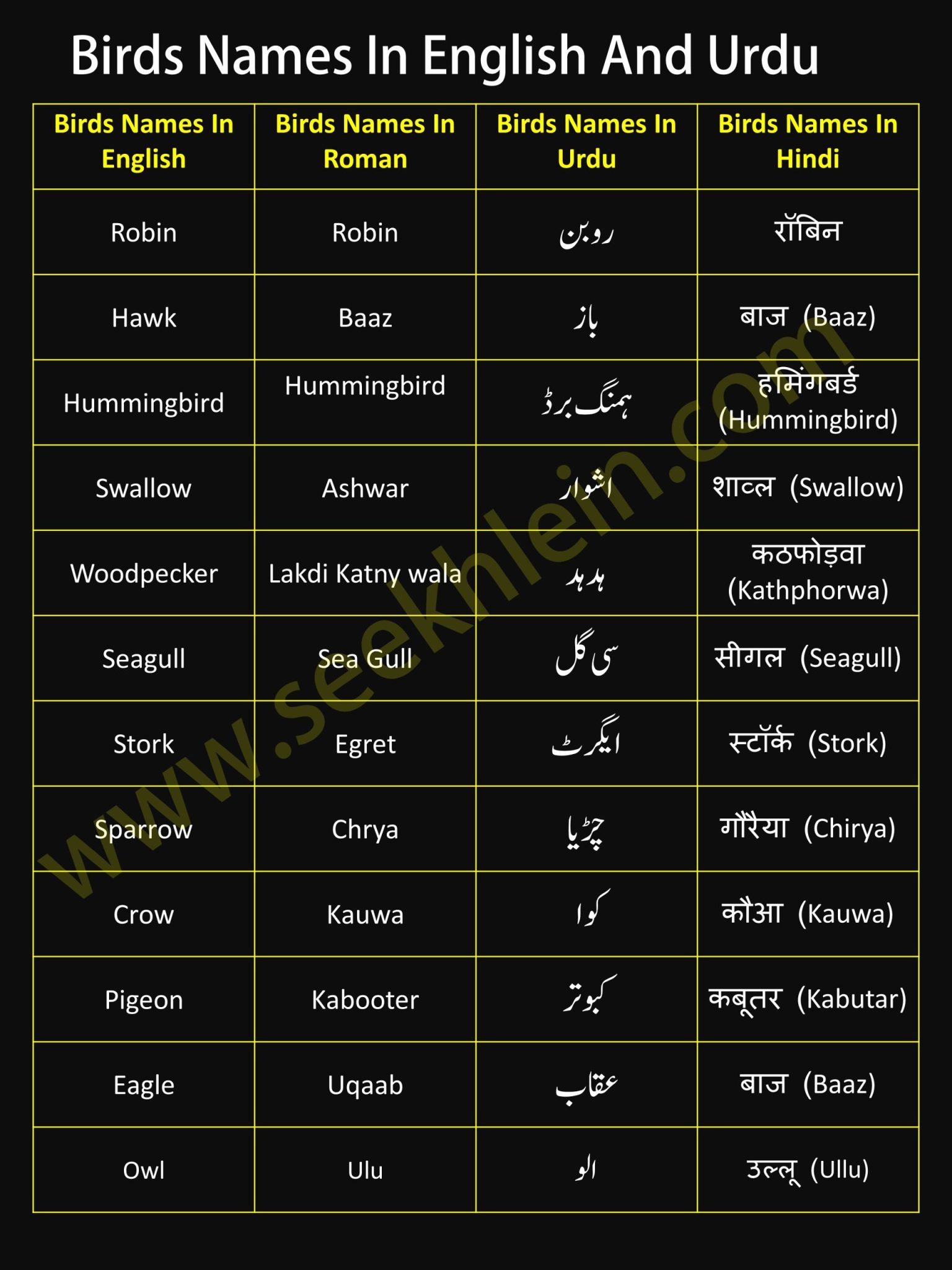 Birds Names In English