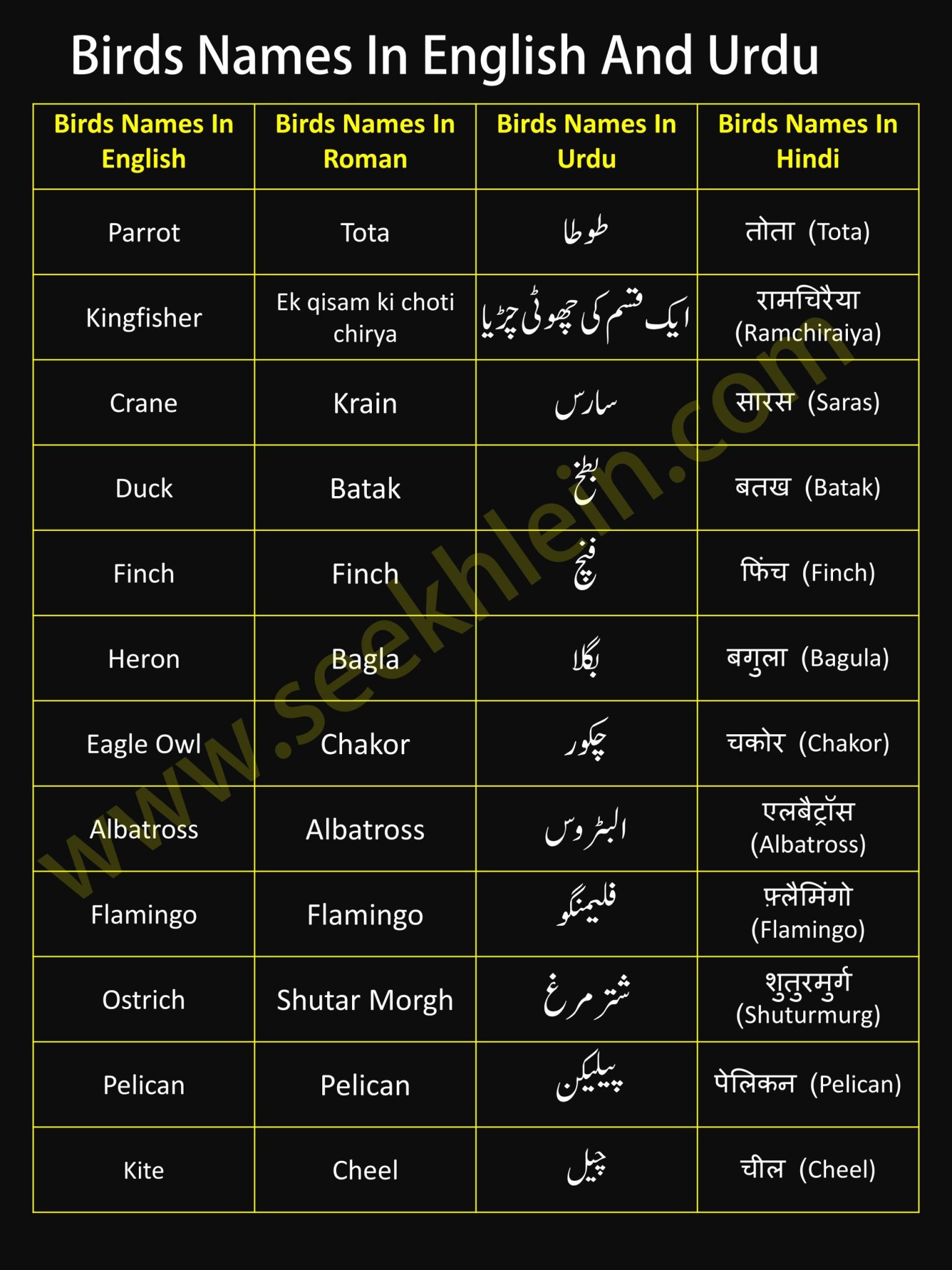 All Birds Names In English