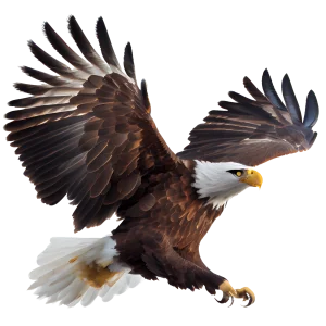 Eagle