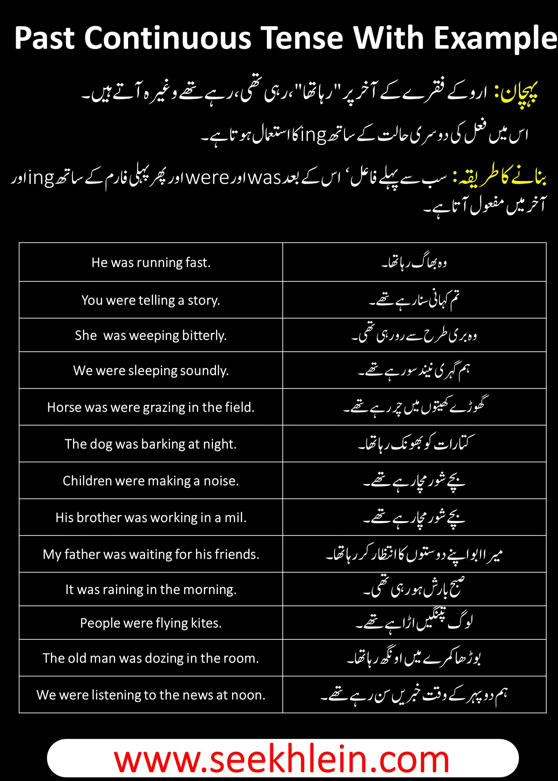 Past Continuous Tense With Simple Sentences Examples