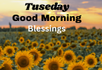 Joyful Good Morning Blessings on Tuesday