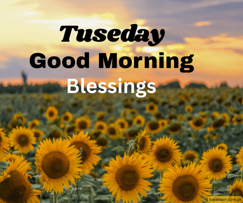 Joyful Good Morning Blessings on Tuesday